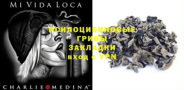 ПСИЛОЦИБИНОВЫЕ ГРИБЫ Нея