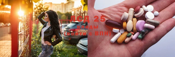 ПСИЛОЦИБИНОВЫЕ ГРИБЫ Нея