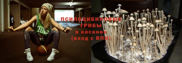 ПСИЛОЦИБИНОВЫЕ ГРИБЫ Нея