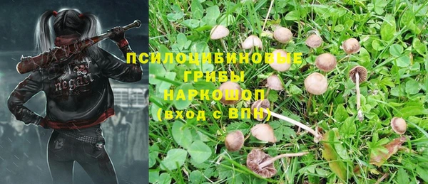 ПСИЛОЦИБИНОВЫЕ ГРИБЫ Нея