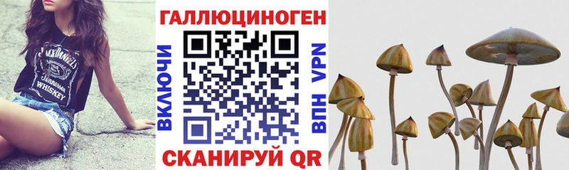 Псилоцибиновые грибы ЛСД  Купить где  Усмань 